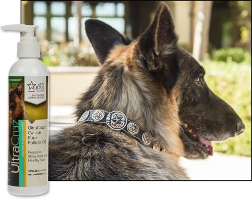 Show full view: UltraCruz Pure Pollock Oil Dog Supplement, 8-fl oz bottle slide 5 of 5