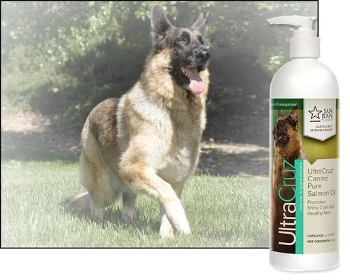 Show full view: UltraCruz Pure Salmon Oil Dog Supplement, 16-fl oz bottle slide 4 of 6