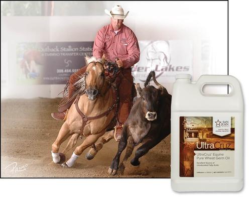 Show full view: UltraCruz Pure Wheat Germ Oil Skin & Coat Care Liquid Horse Supplement, 1-gal, 4 count slide 2 of 4