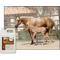 Show in main carousel: UltraCruz Pure Wheat Germ Oil Skin & Coat Care Liquid Horse Supplement, 1-gal, 4 count slide 3 of 4