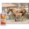 Show in main carousel: UltraCruz Veterinary Horse Liniment Gel, 12-fl oz bottle slide 2 of 4