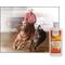 Show in main carousel: UltraCruz Veterinary Horse Liniment Gel, 12-fl oz bottle slide 3 of 4