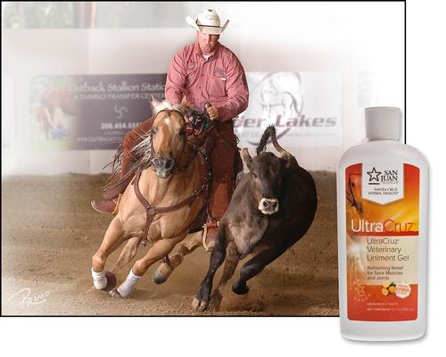 Show full view: UltraCruz Veterinary Horse Liniment Gel, 12-fl oz bottle slide 3 of 4