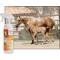 Show in main carousel: UltraCruz Veterinary Horse Liniment Spray, 16-fl oz bottle slide 3 of 4