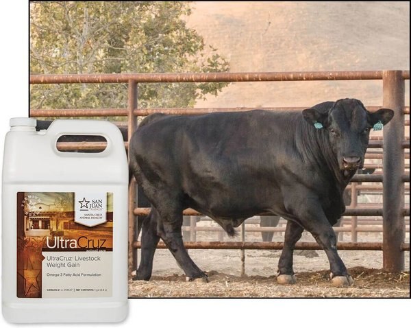 UltraCruz Weight Gain Livestock Supplement, 1-gal bottle