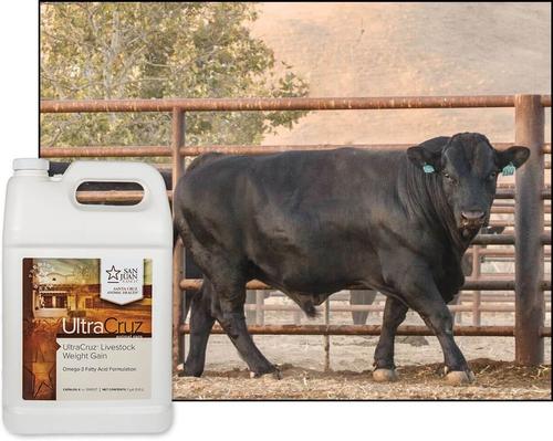 Show full view: UltraCruz Weight Gain Livestock Supplement, 1-gal bottle slide 4 of 4