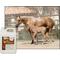 Show in main carousel: UltraCruz Wheat Germ Oil Blend Skin & Coat Care Grain Flavor Liquid Horse Supplement, 1-gal, 4 count slide 3 of 4