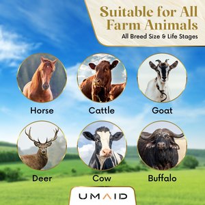 UMAID Himalayan Salt Lick on Rope Horse Treat, 6-lb, 1 count