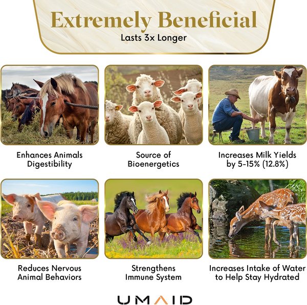 Show full view: UMAID Himalayan Salt Lick on Rope Horse Treat, 6-lb, 1 count slide 5 of 6