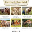 Show in main carousel: UMAID Himalayan Salt Lick on Rope Horse Treat, 6-lb, 1 count slide 5 of 6