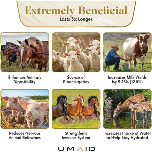 UMAID Himalayan Salt Lick on Rope Horse Treat, 6-lb, 1 count
