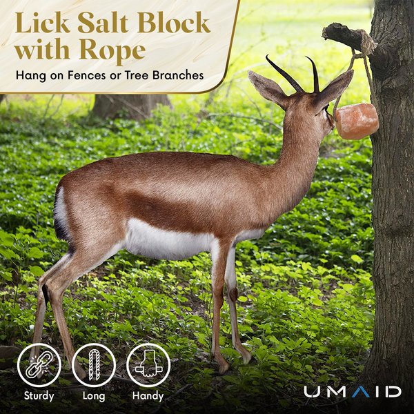 Show full view: UMAID Himalayan Salt Lick on Rope Horse Treat, 6-lb, 1 count slide 4 of 6