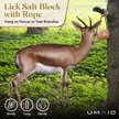 Show in main carousel: UMAID Himalayan Salt Lick on Rope Horse Treat, 6-lb, 1 count slide 4 of 6