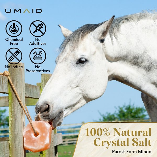Show full view: UMAID Himalayan Salt Lick on Rope Horse Treat, 6-lb, 1 count slide 2 of 6