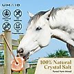 Show in main carousel: UMAID Himalayan Salt Lick on Rope Horse Treat, 6-lb, 1 count slide 2 of 6