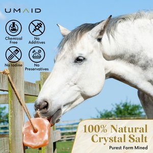 UMAID Himalayan Salt Lick on Rope Horse Treat, 6-lb, 1 count