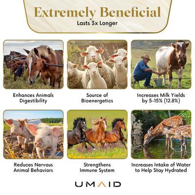 Show full view: UMAID Himalayan Salt Lick on Rope Horse Treat, 6-lb, 2 count slide 6 of 8