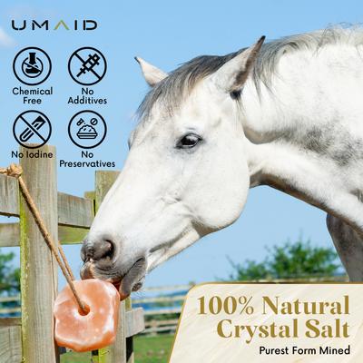 Show full view: UMAID Himalayan Salt Lick on Rope Horse Treat, 6-lb, 4 count slide 2 of 7