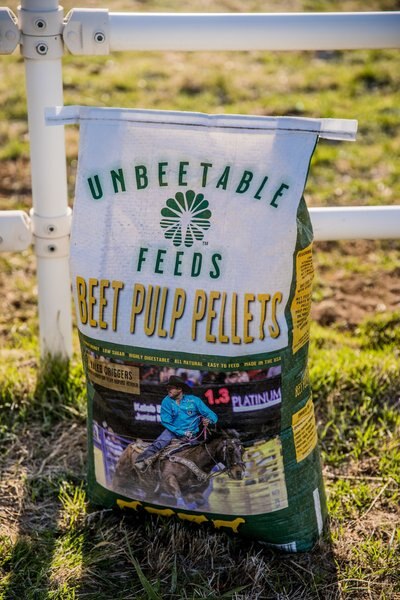 Unbeetable Feeds Beet Pulp Low Sugar Pellets Horse Feed, 50-lb bag