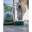 Show in main carousel: Unbeetable Feeds Forage Only Horse Feed, 50-lb bag slide 4 of 6