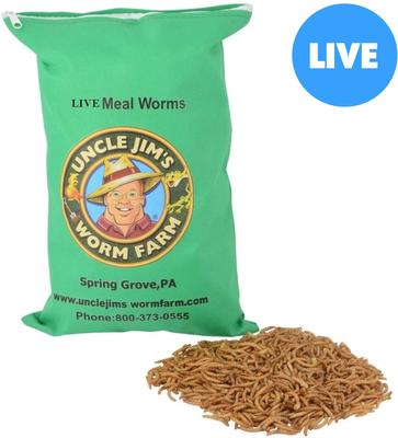 Show full view: Uncle Jim's Worm Farm Live Mealworms Reptile & Fish Food, 500 count slide 1 of 7