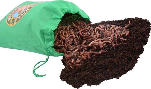Show full view: Uncle Jim's Worm Farm Super Red European Night Crawler Reptile & Fish Food, 250 count slide 5 of 5