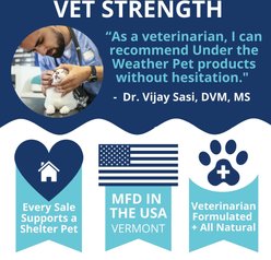 Under the Weather Anti-Diarrhea Liquid Supplement for Cats, 4-fl oz bottle slide 2 of 7