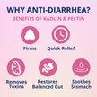Under the Weather Anti-Diarrhea Liquid Supplement for Dogs, 4-fl oz bottle