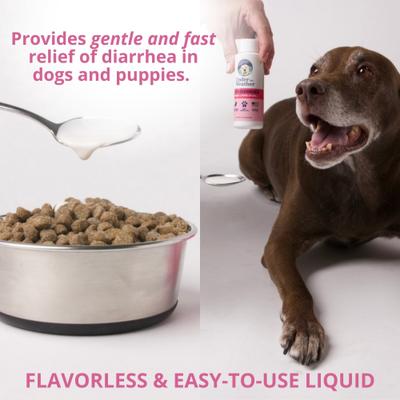 Show full view: Under the Weather Anti-Diarrhea Liquid Supplement for Dogs, 4-fl oz bottle slide 4 of 8