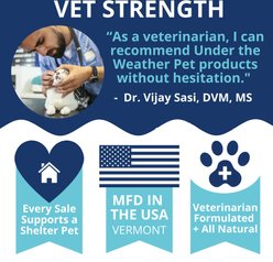 Under the Weather Calming Soft Chews Cat Supplement, 3.17-oz bag slide 2 of 7