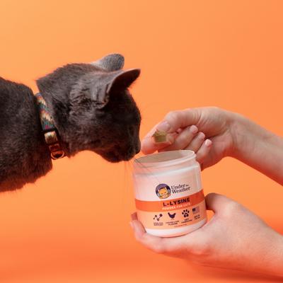 Show full view: Under the Weather L-lysine Powder Cat Supplement, 3.17-oz bag slide 5 of 5
