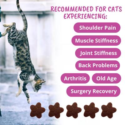 Show full view: Under the Weather Mobility Soft Chews Cat Supplement, 3.17-oz bag slide 6 of 8