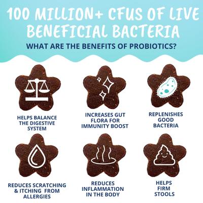 Show full view: Under the Weather Probiotic Soft Chews Cat Supplement, 3.17-oz bag slide 5 of 8