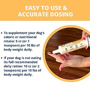 Under the Weather Ready Cal High Calorie Food Nutritional Gel Dog Supplement, 100-cc syringe