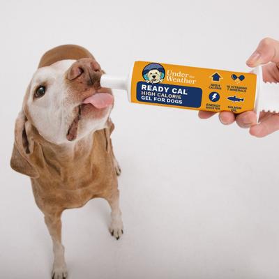 Show full view: Under the Weather Ready Cal High Calorie Food Nutritional Gel Dog Supplement, 100-cc syringe slide 6 of 8