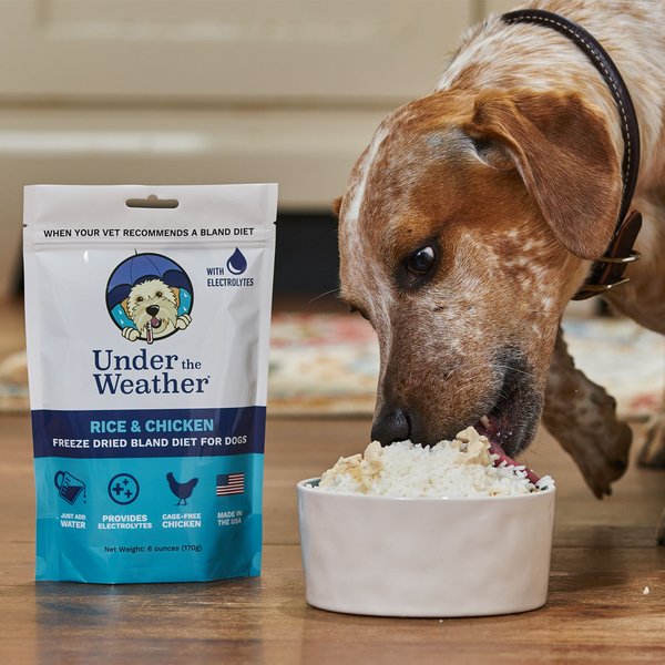 Under the Weather Rice & Chicken Freeze-Dried Dog Food, 6-oz bag, 3 count