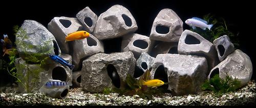 Show full view: Underwater Galleries Assorted Cichlid Aquarium Stone Caves, 15 count box slide 4 of 6