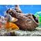Show in main carousel: Underwater Galleries Fish Tank Hollow Ceramic Cave Log Fish Hideout, Mahogany, Large, 1 count slide 1 of 3