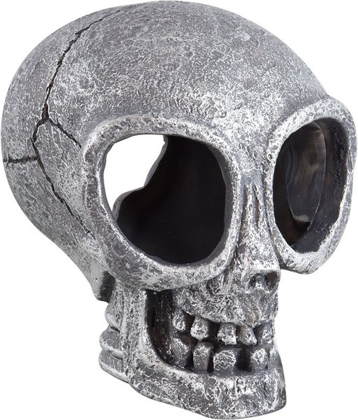 Show full view: Underwater Treasures Alien Skull Fish Ornament slide 1 of 1
