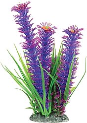 Underwater Treasures Ambulia Fish Plant