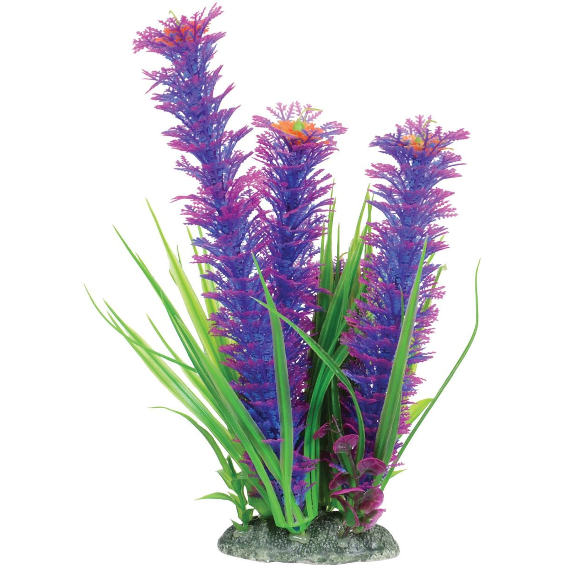 Underwater Treasures Ambulia Fish Plant