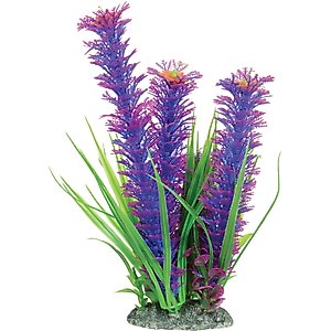 Underwater Treasures Ambulia Fish Plant