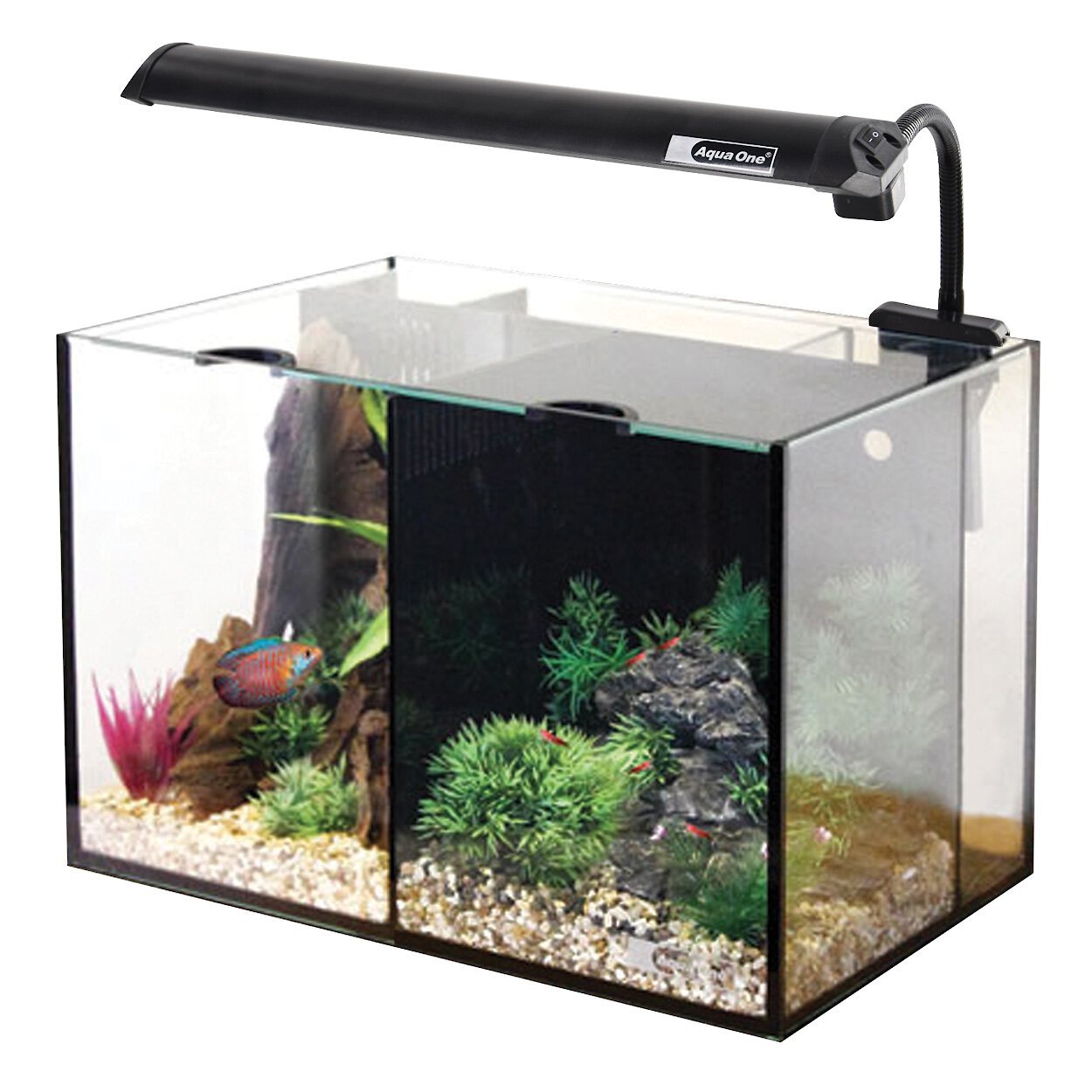 amazon betta fish accessories 3.5 Gallon Tank, All in One Aquarium Starter Kits with Back Filter, Adjustable Pump, 25W Heater, LED Thermometer, LED Light with Timer & Water Changer Kit, Gifts for Imagitarium Double Leaf Betta Perch,