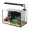 Show in main carousel: Underwater Treasures Aqua One Betta Duo Aquarium, 5.3-gal slide 3 of 4
