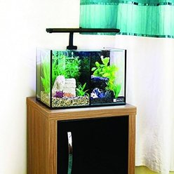 Underwater Treasures Aqua One Betta Trio Aquarium, 8.4-gal slide 2 of 3