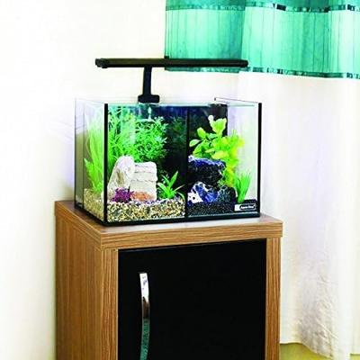 Show full view: Underwater Treasures Aqua One Betta Trio Aquarium, 8.4-gal slide 3 of 4