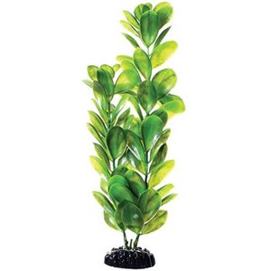 Underwater Treasures Bacopa Fish Plant, 12-in, Green