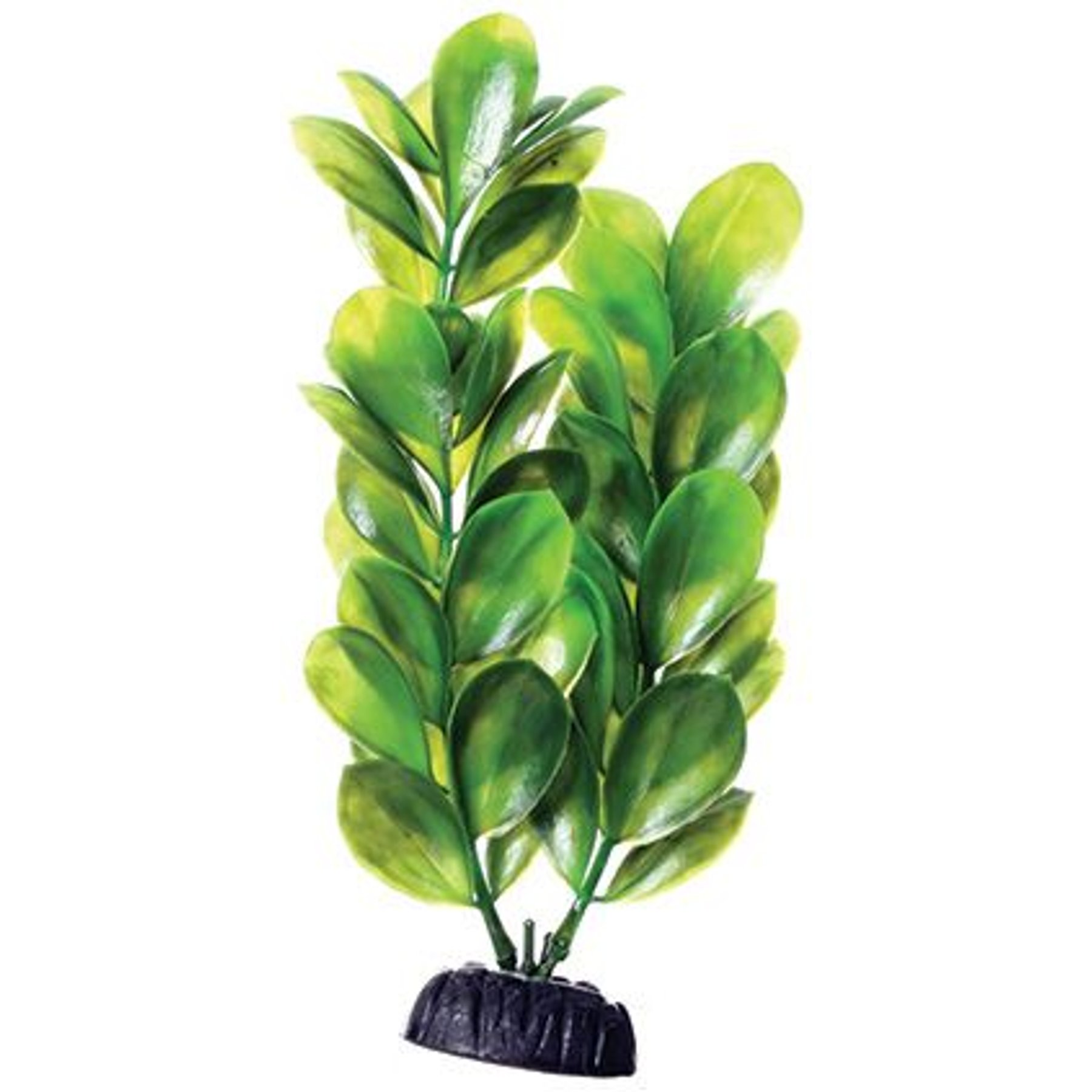 Underwater Treasures Bacopa Fish Plant, 8-in, Green