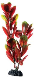 Underwater Treasures Bacopa Fish Plant, 8-in, Red/Green