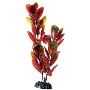 Underwater Treasures Bacopa Fish Plant, 8-in, Red/Green